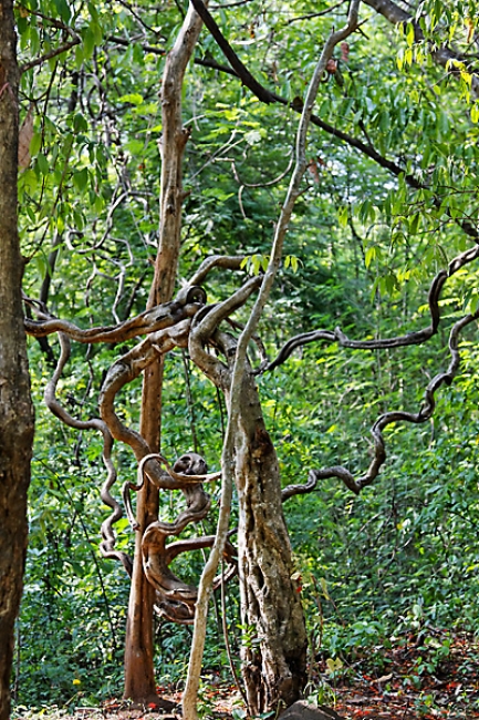 20-Prasat Phu Fai-001